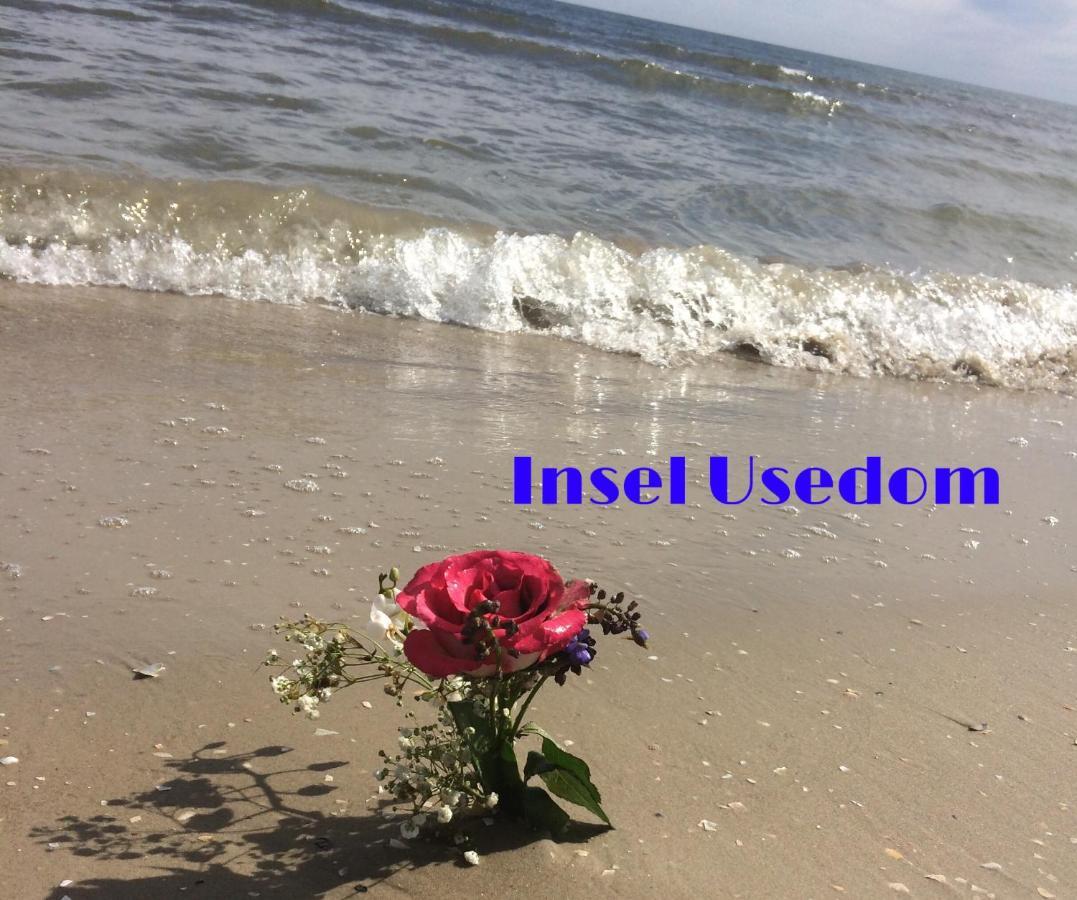 Ferienwohnung Mit Terrasse - Insel Usedom Trassenheide Luaran gambar
