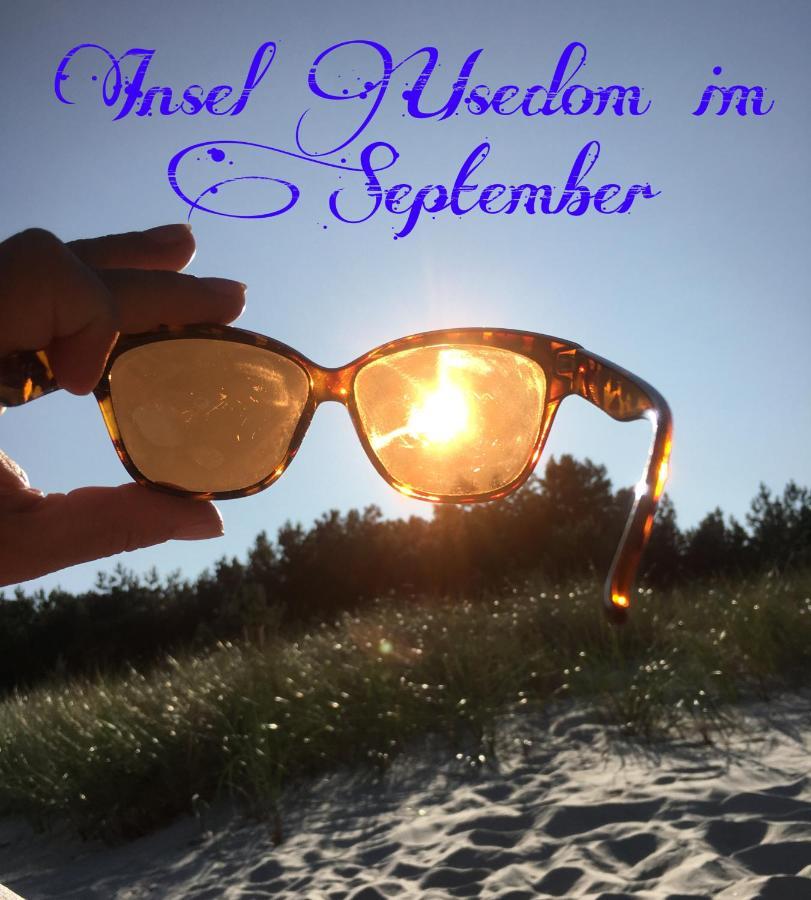 Ferienwohnung Mit Terrasse - Insel Usedom Trassenheide Luaran gambar