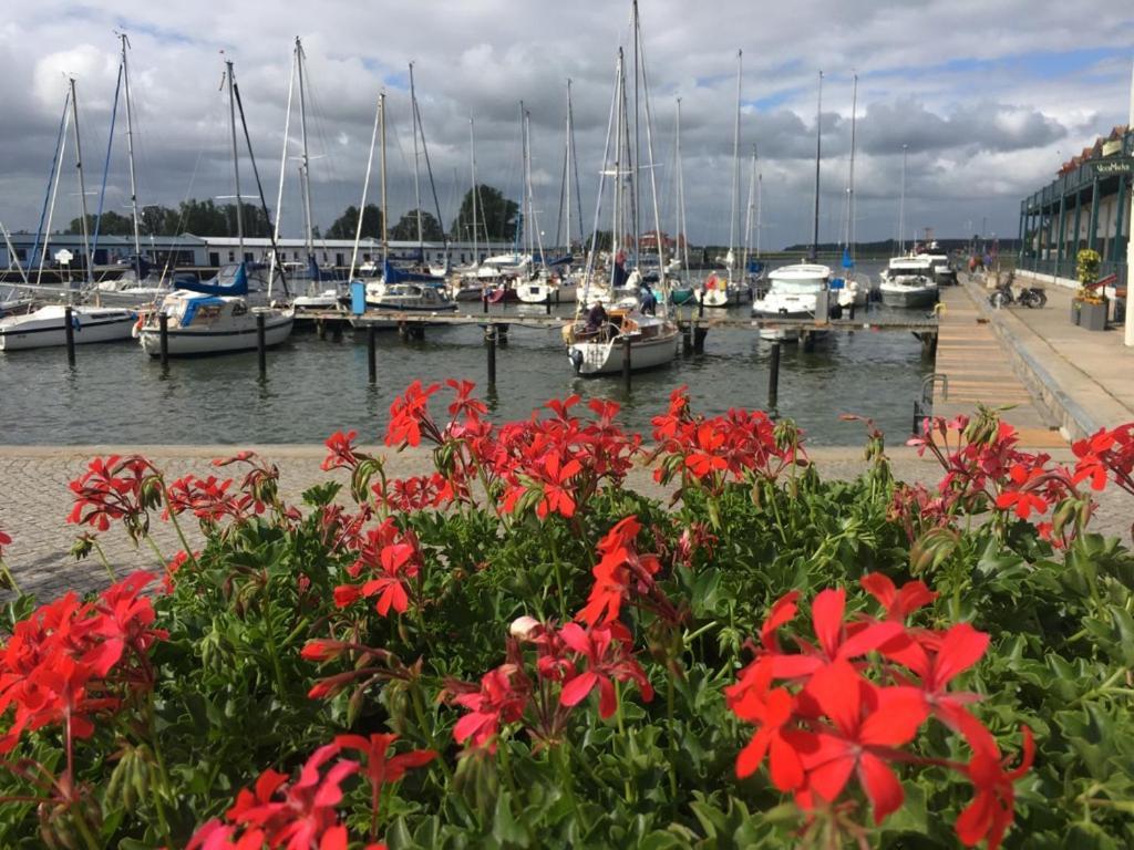 Ferienwohnung Mit Terrasse - Insel Usedom Trassenheide Luaran gambar