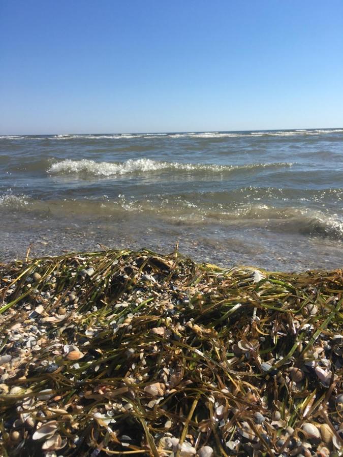 Ferienwohnung Mit Terrasse - Insel Usedom Trassenheide Luaran gambar