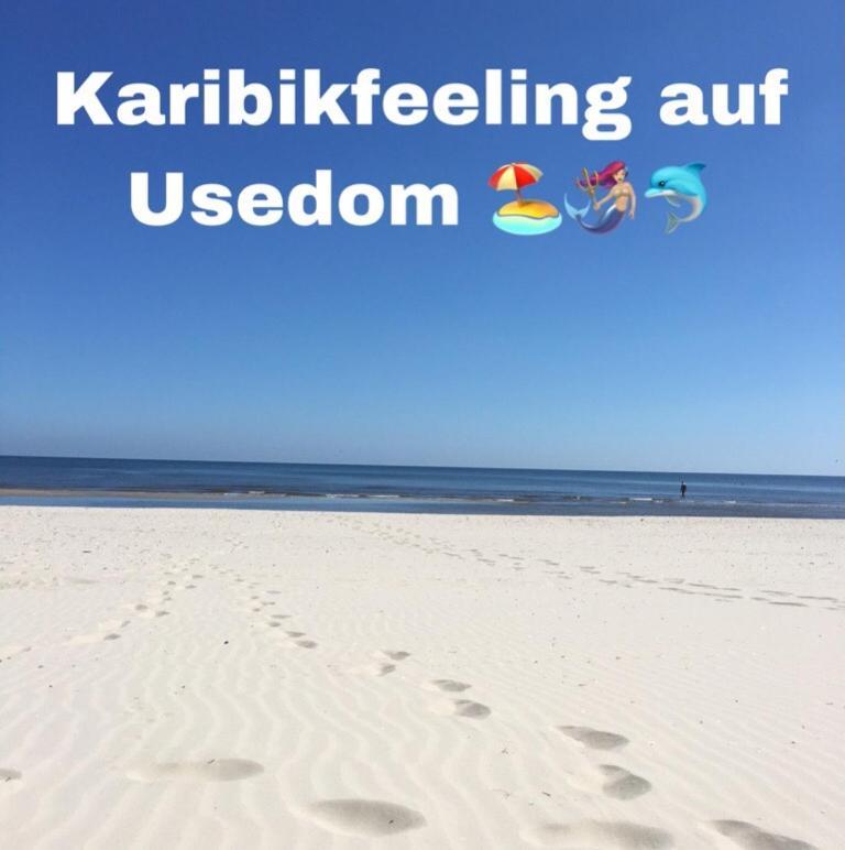 Ferienwohnung Mit Terrasse - Insel Usedom Trassenheide Luaran gambar