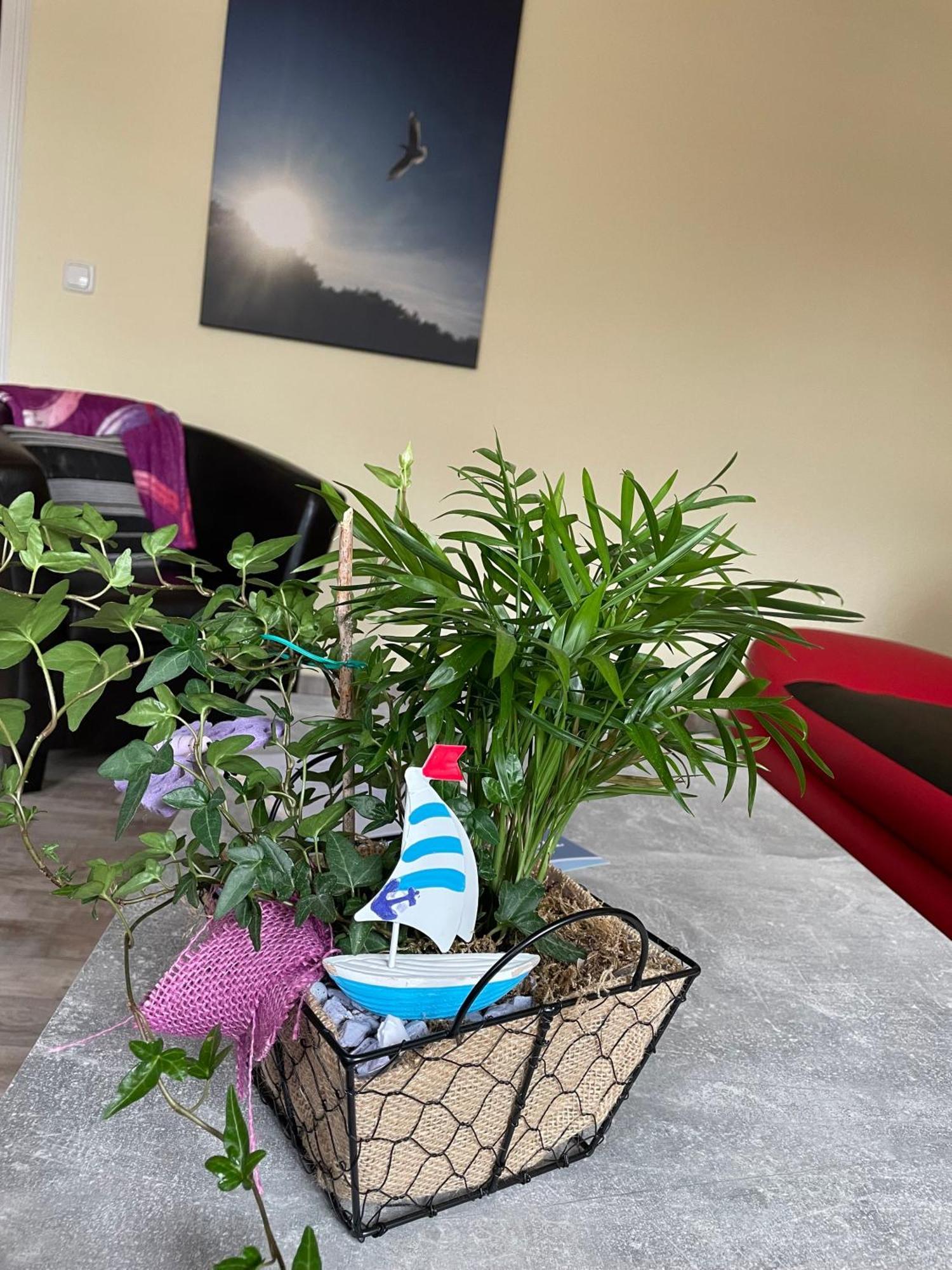 Ferienwohnung Mit Terrasse - Insel Usedom Trassenheide Luaran gambar