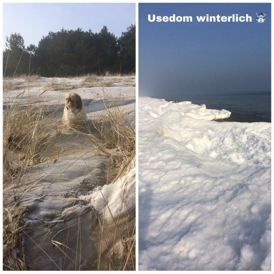 Ferienwohnung Mit Terrasse - Insel Usedom Trassenheide Luaran gambar