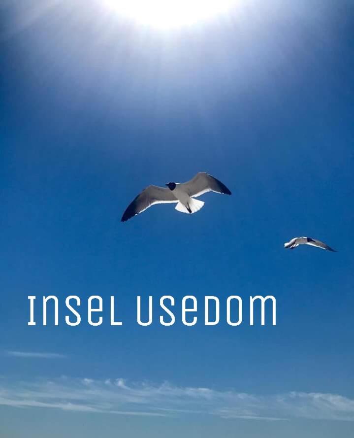 Ferienwohnung Mit Terrasse - Insel Usedom Trassenheide Luaran gambar